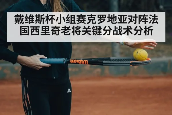 戴维斯杯小组赛克罗地亚对阵法国西里奇老将关键分战术分析